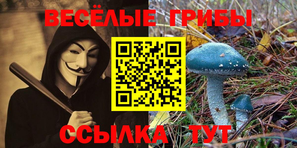 Галлюциногенные грибы прущие грибы  Псилоцибиновые грибы мицелий  Вход с VPN  Татарск 