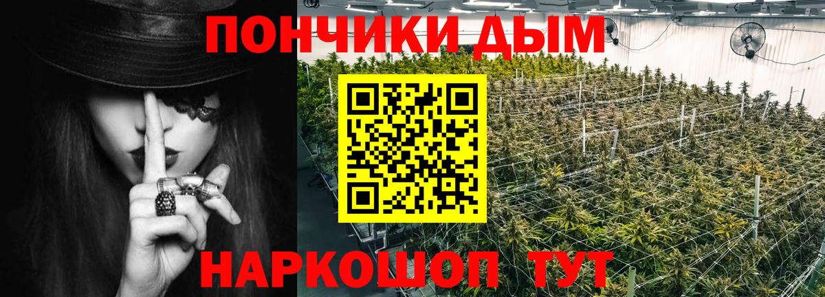 Татарск  Конопля тримм  Шишки марихуана конопля  Вход с VPN  Бошки марихуана Bruce Banner  Конопля ГИДРОПОН 